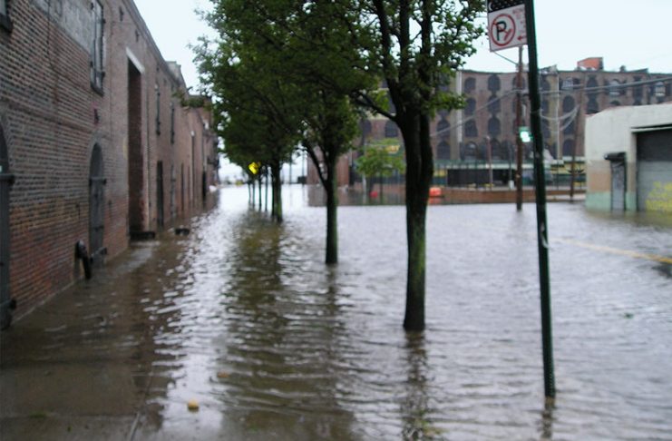 Flood Survival Tips