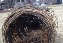 How To Make A Funnel Trap How to make a funnel trap