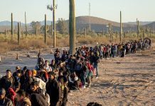 The U.S. job market is booming, but only if you’re here illegally